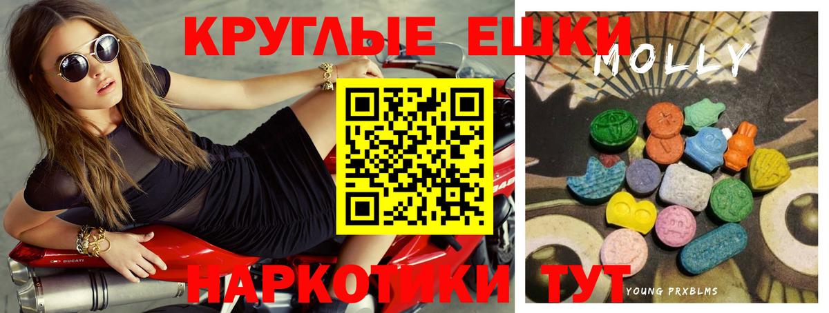 ЭКСТАЗИ бентли Тейково