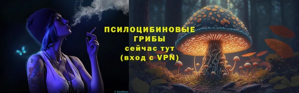 a pvp Арсеньев