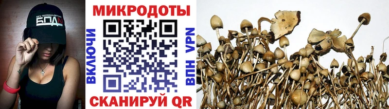закладка  Тейково  блэк спрут рабочий сайт  Галлюциногенные грибы мухоморы 