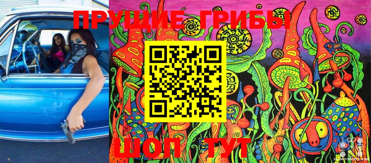 Тейково  Галлюциногенные грибы Cubensis  Вход с VPN 