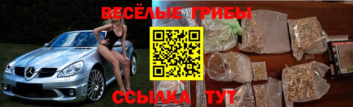 Галлюциногенные грибы MAGIC MUSHROOMS Тейково